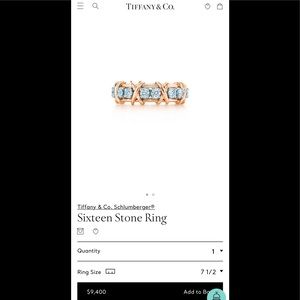 Tiffany & Co Sixteen Stone Ring 18R